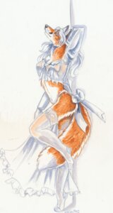 Rating: Questionable Score: 0 Tags: 2012 anthro canid canine clothing e621 female fox gloves hair handwear heather_bruton legwear lingerie mammal nightgown panties red_fox solo stockings tail true_fox underwear white_hair User: bunchy7s