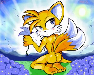 Rating: Questionable Score: 0 Tags: anthro ass back blue_eyes bottomless color cub flower fox fur furry furry_ears furry_only kneeling looking_back male male_cub male_only multi_tail nude open_eyes orange_fur outdoors pointy_ears rule34 sega solo sonic_(series) sonic_the_hedgehog_(series) sonic_the_hedgehog_2 straight_hair tail tails tails_the_fox topless video_games zr User: bunchy7s
