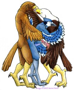 Rating: Explicit Score: 0 Tags: accipitrid accipitriform anal anthro avian bald_eagle balls beak beak_kiss bird blue_jay bodily_fluids corvid cum cumshot e621 eagle ejaculation erection eyes_closed feathered_wings feathers genital_fluids genitals golden_eagle group group_sex jay_(bird) kissing male male/male male_penetrated male_penetrating male_penetrating_male new_world_jay orgasm oscine passerine penetration penis sea_eagle sex simple_background standing stormpetrel tail tail_feathers threesome trio true_eagle white_background wings User: bunchy7s
