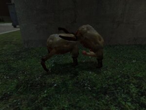 Rating: Explicit Score: 0 Tags: 1boy 1girls 3d erect_penis erection female garry's_mod half-life_(series) half-life_2 headcrab male meddy_(artist) penis rule34 straight tagme User: bunchy7s