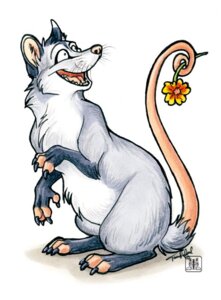 Rating: Safe Score: 0 Tags: 2010 american_opossum claws conditional_dnp countershading e621 feet feral fingerless_(marking) flower fur grey_body grey_fur inner_ear_fluff looking_away male mammal marsupial open_mouth pink_nose plant prehensile_tail simple_background sitting solo sunflower tail tani_da_real teeth toeless_(marking) tuft virginia_opossum whiskers white_background white_body white_fur User: bunchy7s Rating: Safe Score: 0 Tags: 2010 american_opossum claws conditional_dnp countershading e621 feet feral fingerless_(marking) flower fur grey_body grey_fur inner_ear_fluff looking_away male mammal marsupial open_mouth pink_nose plant prehensile_tail simple_background sitting solo sunflower tail tani_da_real teeth toeless_(marking) tuft virginia_opossum whiskers white_background white_body white_fur User: bunchy7s
