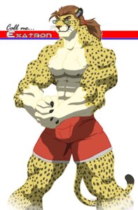 Rating: Safe Score: 0 Tags: 2008 abs anthro biceps big_muscles biped bottomwear brown_body brown_eyes brown_fur brown_hair cheetah clothed clothing e621 exatron eyewear felid feline flexing fur galen glasses grin hair male mammal markings muscular muscular_anthro muscular_male nipples pecs ponytail pose shorts simple_background smile solo spots standing topless vein whiskers white_background white_body white_fur yellow_body yellow_fur User: bunchy7s