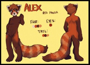 Rating: Safe Score: 0 Tags: abstract_background ailurid alex_(yobot) anthro auburn_hair biped black_border border brown_body brown_fur claws e621 english_text fur hair looking_at_viewer male mammal model_sheet nude orange_body orange_eyes orange_fur red_panda simple_background solo standing text toe_claws yobot young User: bunchy7s