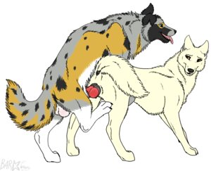 Rating: Explicit Score: 0 Tags: 2010 all_fours anatomically_correct anatomically_correct_anus anatomically_correct_genitalia anatomically_correct_vulva animal_genitalia animal_penis animal_vulva anus australian_shepherd backsack balls barkwoof canid canine canine_genitalia canine_penis canine_vulva canis doggystyle domestic_dog duo e621 erection female female_penetrated feral feral_on_feral from_behind_position genitals herding_dog knot male male/female male_penetrating male_penetrating_female mammal mixxi moonlightpaw nude pastoral_dog penetration penile penile_penetration penis penis_in_vagina sex sheepdog simple_background tail vaginal vaginal_penetration vulva white_background User: bunchy7s
