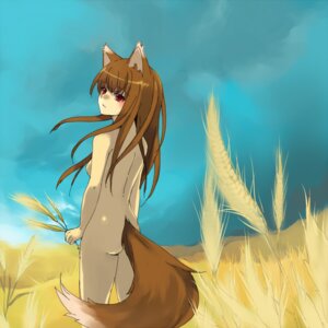 Rating: Questionable Score: 0 Tags: 1girls animal_ears back backboob blush breasts completely_nude female holo loo nude nude_female nudist outdoors outside rule34 small_breasts spice_and_wolf tail wolf_ears User: bunchy7s