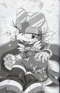 Rating: Explicit Score: 0 Tags: anthro avian bird comic cum female furry_bomb mitsuharu_takura rule34 sonic_(series) sonic_riders straight_hair swallow_(bird) wave_the_swallow User: bunchy7s