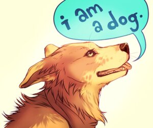 Rating: Safe Score: 0 Tags: 2011 ambiguous_gender brown_body brown_fur brown_nose canid canine canis dialogue digital_drawing_(artwork) digital_media_(artwork) domestic_dog e621 english_text falvie feral fur mammal simple_background solo talking_feral teeth text the_truth tongue white_background yellow_eyes User: bunchy7s