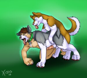 Rating: Explicit Score: 0 Tags: all_fours animal_genitalia animal_penis anthro anthro_on_feral balls bestiality canid canine canine_genitalia canine_penis canis doggystyle domestic_dog duo e621 erection eyes_closed feral from_behind_position genitals green_eyes interspecies knot male male/male mammal open_mouth penis sex sheath tail tongue transformation transformation_through_sex xids User: bunchy7s