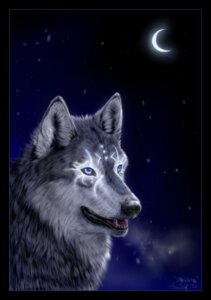 Rating: Safe Score: 0 Tags: 2008 ambiguous_gender black_border black_lips black_nose blue_eyes border breath canid canine canis cold colored crescent_moon detailed_background e621 fangs feral fur glowing glowing_markings grey_body grey_fur headshot_portrait hi_res inner_ear_fluff lips long_mouth mammal markings moon night no_sclera open_mouth outside panting portrait sky snout snow snowing snowwolfmystic solo teeth tongue tuft whiskers white_body white_fur winter wolf User: bunchy7s Rating: Safe Score: 0 Tags: 2008 ambiguous_gender black_border black_lips black_nose blue_eyes border breath canid canine canis cold colored crescent_moon detailed_background e621 fangs feral fur glowing glowing_markings grey_body grey_fur headshot_portrait hi_res inner_ear_fluff lips long_mouth mammal markings moon night no_sclera open_mouth outside panting portrait sky snout snow snowing snowwolfmystic solo teeth tongue tuft whiskers white_body white_fur winter wolf User: bunchy7s