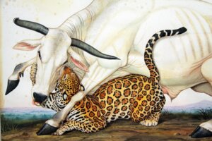 Rating: Explicit Score: 0 Tags: 1998 ambiguous_gender ambiguous_penetrated anatomically_correct anatomically_correct_genitalia anatomically_correct_penis animal_genitalia animal_penis balls bite biting_another black_eyes bovid bovine bovine_genitalia bovine_penis cattle deoni_cattle duo e621 ear_piercing erection facial_piercing felid feral feral_on_feral feral_penetrated feral_penetrating feral_penetrating_feral from_behind_position fur genitals grass hooves horn interspecies jaguar larger_male looking_away lying male male/ambiguous male_penetrating male_penetrating_ambiguous mammal markings nature nose_piercing nose_ring nude on_front outside pantherine penetration penile penile_penetration penis piercing pink_penis plant predator/prey raised_tail realistic realistic_feral ribs ring_piercing role_reversal septum_piercing sex sheath size_difference smaller_ambiguous smaller_penetrated spots spotted_body spotted_fur tail tail_tuft tongue tongue_out traditional_media_(artwork) tuft walton_ford whiskers white_body User: bunchy7s