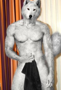Rating: Questionable Score: 0 Tags: anthro canid canine canis e621 male mammal photo_manipulation photomorph solo teasing tempkitty third-party_edit towel wolf User: bunchy7s Rating: Questionable Score: 0 Tags: anthro canid canine canis e621 male mammal photo_manipulation photomorph solo teasing tempkitty third-party_edit towel wolf User: bunchy7s