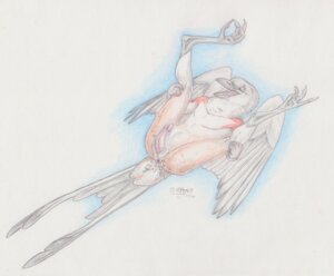 Rating: Explicit Score: 0 Tags: 2011 after_sex animal_genitalia anthro anus avian beak biped bird bodily_fluids cum cum_in_ass cum_inside e621 erection feathered_wings feathers genital_fluids genital_slit genitals kingbird legs_up lying male new_world_flycatcher new_world_suboscine nude on_back open_beak open_mouth open_smile passerine penis scissor-tailed_flycatcher smile solo suboscine traditional_media_(artwork) tyrant_flycatcher windpaw wings User: bunchy7s Rating: Explicit Score: 0 Tags: 2011 after_sex animal_genitalia anthro anus avian beak biped bird bodily_fluids cum cum_in_ass cum_inside e621 erection feathered_wings feathers genital_fluids genital_slit genitals kingbird legs_up lying male new_world_flycatcher new_world_suboscine nude on_back open_beak open_mouth open_smile passerine penis scissor-tailed_flycatcher smile solo suboscine traditional_media_(artwork) tyrant_flycatcher windpaw wings User: bunchy7s