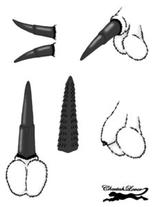 Rating: Explicit Score: 0 Tags: anatomically_correct anatomically_correct_genitalia anatomically_correct_penis animal_genitalia animal_penis balls cheetahlover disembodied_penis domestic_cat e621 erection felid feline feline_genitalia feline_penis felis genital_shot genitals male mammal penile_spines penis penis_shot penis_tip sheath solo User: bunchy7s Rating: Explicit Score: 0 Tags: anatomically_correct anatomically_correct_genitalia anatomically_correct_penis animal_genitalia animal_penis balls cheetahlover disembodied_penis domestic_cat e621 erection felid feline feline_genitalia feline_penis felis genital_shot genitals male mammal penile_spines penis penis_shot penis_tip sheath solo User: bunchy7s