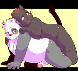Rating: Explicit Score: 0 Tags: all_fours anthro anthro_on_anthro bear belly black_body black_fur blue_eyes blush digital_media_(artwork) doggystyle domestic_cat duo e621 ear_piercing erection facial_piercing felid feline felis from_behind_position fur gazpacho genitals giant_panda green_eyes grey_body grey_fur hair humanoid_genitalia humanoid_penis interspecies kemono male male/male mammal multicolored_body multicolored_fur nude overweight penis piercing red_eyes red_hair sex simple_background slightly_chubby tail two_tone_body two_tone_fur white_body white_fur User: bunchy7s