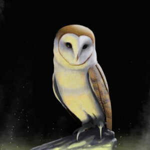Rating: Safe Score: 0 Tags: 1:1 2013 avian barn_owl battle_claws_(gogh) beak bird brown_body brown_feathers digital_media_(artwork) digital_painting_(artwork) e621 fan_character feathered_wings feathers female feral full-length_portrait guardians_of_ga'hoole hoolemere nala_(hoolemere) owl painting_(artwork) portrait solo tan_body tan_feathers tyto tytonid white_body white_feathers wings User: bunchy7s