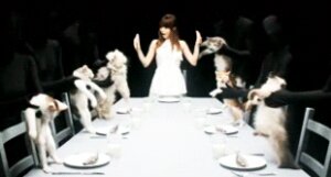 Rating: Safe Score: 0 Tags: animated animated_gif dancing domestic_cat e621 felid feline felis female furniture grandfathered_content group human humor low_res mammal real short_playtime table unknown_artist what User: bunchy7s Rating: Safe Score: 0 Tags: animated animated_gif dancing domestic_cat e621 felid feline felis female furniture grandfathered_content group human humor low_res mammal real short_playtime table unknown_artist what User: bunchy7s