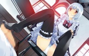 Rating: Explicit Score: 0 Tags: 1boy 1girls black_legwear black_thighhighs blue_hair blush bow censored feet female footjob footjob_with_legwear game_cg garters hairbow kamishiro_yuki legs long_legs looking_down maid male mosaic_censoring no_shoes panties pantyshot pantyshot_(sitting) pantyshot_sitting penis red_eyes rule34 short_hair sitting thighhighs thighs ueda_ryou underwear white_panties User: bunchy7s
