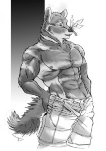 Rating: Safe Score: 0 Tags: 2010 abs anthro arthropod athletic biceps big_muscles biped bottomwear canid canine canis clothed clothing darkzel denim denim_bottomwear denim_clothing dragonfly e621 fangs fur hi_res insect jeans male mammal monochrome muscular muscular_anthro muscular_male nipples open_mouth pants pecs pose solo standing teeth topless vein wolf User: bunchy7s Rating: Safe Score: 0 Tags: 2010 abs anthro arthropod athletic biceps big_muscles biped bottomwear canid canine canis clothed clothing darkzel denim denim_bottomwear denim_clothing dragonfly e621 fangs fur hi_res insect jeans male mammal monochrome muscular muscular_anthro muscular_male nipples open_mouth pants pecs pose solo standing teeth topless vein wolf User: bunchy7s