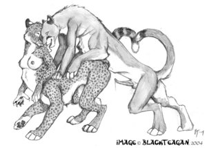 Rating: Explicit Score: 0 Tags: 2004 black_pawpads blackteagan breasts cheetah claws cougar duo e621 erection eyes_closed felid feline female from_behind_position fur genitals greyscale imminent_sex licking male mammal markings monochrome mounting nipples pawpads penis sex shoulder_lick simple_background spots spotted_body spotted_fur tail taur taur_on_taur tongue tongue_out white_background User: bunchy7s