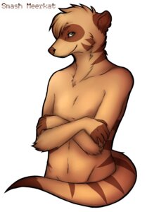 Rating: Safe Score: 0 Tags: brown_body brown_fur brown_hair brown_nose claws covering covering_self crossed_arms e621 front_view fur green_eyes hair herpestid hi_res looking_at_viewer male mammal meerkat mysstice nude short_hair simple_background smashmeerkat smile solo white_background User: bunchy7s