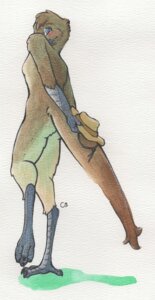 Rating: Safe Score: 0 Tags: avian bare_back bird e621 female hands_behind_back hi_res lizanne lyrebird nude oscine passerine solo thabi User: bunchy7s