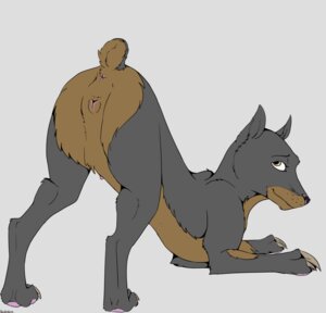Rating: Explicit Score: 0 Tags: anatomically_correct anatomically_correct_anus anatomically_correct_genitalia anatomically_correct_vulva animal_genitalia animal_vulva anus backlash91 butt canid canine canine_genitalia canine_vulva canis claws conditional_dnp digital_media_(artwork) dobermann domestic_dog e621 female feral genitals hi_res looking_back mammal nipples pinscher pose presenting presenting_anus presenting_hindquarters presenting_vulva raised_tail simple_background smile solo tail vulva User: bunchy7s