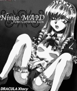 Rating: Explicit Score: 0 Tags: castlevania female ninja_maid rule34 tagme User: bunchy7s