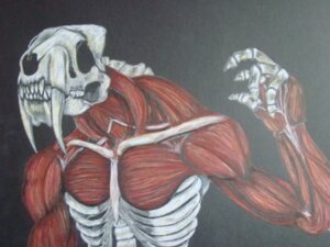 Rating: Questionable Score: 0 Tags: 4:3 bone claws e621 eyeless fangs felid firey grey_background male mammal muscular muscular_male nightmare_fuel prehistoric_species saber-toothed_tiger sabertooth_(anatomy) simple_background skeleton solo teeth undead User: bunchy7s