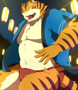 Rating: Questionable Score: 0 Tags: anthro asian_clothing chizu clothing e621 east_asian_clothing felid fundoshi hi_res japanese_clothing looking_at_viewer male mammal markings muscular muscular_anthro muscular_male outside pantherine slightly_chubby solo stripes tail tiger underwear User: bunchy7s