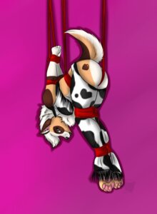 Rating: Questionable Score: 0 Tags: anthro arcanafox bdsm black_nose bondage bound brown_body brown_fur brown_markings canid canine e621 feet female fur hair hi_res hindpaw looking_at_viewer mammal markings paws rope solo submissive submissive_female suspension white_hair User: bunchy7s Rating: Questionable Score: 0 Tags: anthro arcanafox bdsm black_nose bondage bound brown_body brown_fur brown_markings canid canine e621 feet female fur hair hi_res hindpaw looking_at_viewer mammal markings paws rope solo submissive submissive_female suspension white_hair User: bunchy7s