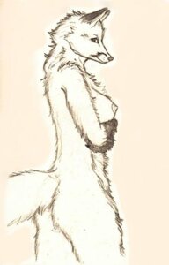 Rating: Questionable Score: 0 Tags: 2011 anthro biped breasts butt canid canine conditional_dnp cracky e621 female fox fur gloves_(marking) looking_aside looking_at_viewer mammal markings nipples nude side_boob side_view simple_background sketch solo standing tail white_background User: bunchy7s Rating: Questionable Score: 0 Tags: 2011 anthro biped breasts butt canid canine conditional_dnp cracky e621 female fox fur gloves_(marking) looking_aside looking_at_viewer mammal markings nipples nude side_boob side_view simple_background sketch solo standing tail white_background User: bunchy7s