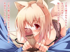 Rating: Explicit Score: 0 Tags: ass bare_shoulders blonde_hair blush brown_hair chiri_(atlanta) cute_fang fellatio fox_ear fox_tail male male_pubic_hair oral original penis polka_dot pov pubic_hair red_eyes rule34 saliva strap_slip tail ten'inkou_korin translated wink User: bunchy7s