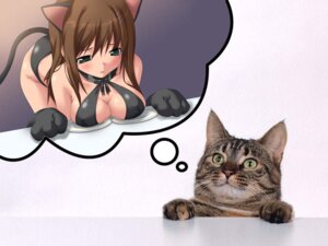 Rating: Questionable Score: 0 Tags: 4:3 animal_humanoid big_breasts blush breast_rest breasts brown_hair cat_humanoid cat_tail cleavage clothed clothing collage_(artwork) criss-cross_bikini domestic_cat duo e621 felid felid_humanoid feline feline_humanoid felis female feral food grandfathered_content green_eyes hair humanoid mammal mammal_humanoid mixed_media plate real shopped simple_background sophia_esteed square_enix star_ocean third-party_edit thought_bubble unknown_artist white_background User: bunchy7s
