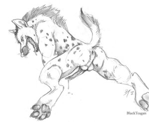 Rating: Explicit Score: 0 Tags: 2007 anthro anus backsack balls blackteagan bodily_fluids cum e621 erection genital_fluids genitals hyena looking_at_viewer male mammal monochrome nude penis raised_tail sketch solo spotted_hyena tail tail_anus User: bunchy7s