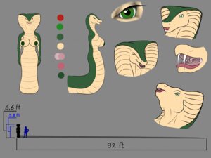 Rating: Questionable Score: 0 Tags: 4:3 absurd_res anthro apode breasts draconcopode e621 eyes_closed fangs female forked_tongue green_body green_eyes green_skin hi_res killhubi legless model_sheet naga nipples non-mammal_breasts non-mammal_nipples open_mouth reptile sasha_mclean scales scalie serpentine side_view snake snake_hood solo teeth tongue ventral_scales User: bunchy7s