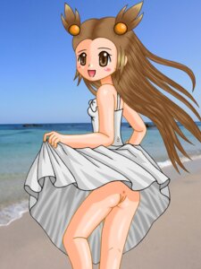 Rating: Explicit Score: 0 Tags: 00s 1girls anus ass beach blush breasts brown_hair clothes color day e_ming female female_only gym_leader human jasmine_(pokemon) jasmine_(pokemon_gsc) light-skinned_female light_skin long_hair nintendo outdoors pokemon pokemon_gsc pussy rule34 solo standing vulva User: bunchy7s