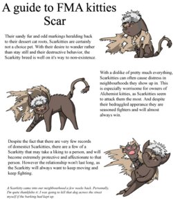 Rating: Safe Score: 0 Tags: brown_body brown_fur domestic_cat e621 english_text felid feline felis feral fmakitties fullmetal_alchemist fur grey_hair hair male mammal red_eyes scar scar_(fullmetal_alchemist) simple_background solo tattoo text unknown_artist white_background User: bunchy7s Rating: Safe Score: 0 Tags: brown_body brown_fur domestic_cat e621 english_text felid feline felis feral fmakitties fullmetal_alchemist fur grey_hair hair male mammal red_eyes scar scar_(fullmetal_alchemist) simple_background solo tattoo text unknown_artist white_background User: bunchy7s