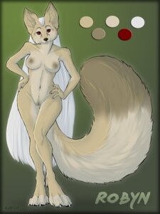 Rating: Explicit Score: 0 Tags: 2012 3:4 anthro big_tail biped border breasts brown_nipples brown_vulva canid canine claws color_swatch dipstick_tail e621 female fennec_fox fluffy fluffy_tail fox fur genitals green_background hair hands_on_hips kaylii long_hair looking_at_viewer mammal markings model_sheet multicolored_tail nipples nude pose red_eyes robyn_(kaylii) simple_background solo standing tail tail_markings tan_body tan_fur true_fox two_tone_tail vulva white_claws white_hair User: bunchy7s