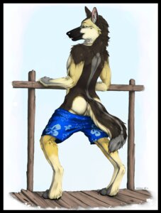 Rating: Explicit Score: 0 Tags: 2010 anthro backsack balls biped black_border border bottomwear bottomwear_down butt canid canine canis clothed clothing domestic_dog e621 fence full-length_portrait fur genitals german_shepherd herding_dog kanic looking_at_viewer looking_back male mammal mooning pants pants_down partially_clothed pastoral_dog portrait rear_view solo standing tail teasing topless truegrave9 whiskers User: bunchy7s
