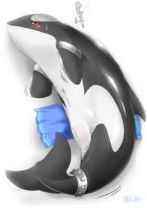 Rating: Explicit Score: 0 Tags: 2012 anime_eyes aquatic bedroom_eyes blush cetacean charme dolphin e621 female feral genitals humanoid_genitalia humanoid_vulva japanese_text kemono mammal narrowed_eyes oceanic_dolphin orca seductive solo text toothed_whale translation_request vulva ymbk User: bunchy7s Rating: Explicit Score: 0 Tags: 2012 anime_eyes aquatic bedroom_eyes blush cetacean charme dolphin e621 female feral genitals humanoid_genitalia humanoid_vulva japanese_text kemono mammal narrowed_eyes oceanic_dolphin orca seductive solo text toothed_whale translation_request vulva ymbk User: bunchy7s