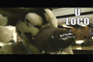 Rating: Safe Score: 0 Tags: 3:2 all_dogs_go_to_heaven animated animated_gif anthro anthrofied canid canine canis charlie_barkin clothing cosplay costume domestic_dog don_bluth e621 fursuit german_shepherd grandfathered_content herding_dog human insane male mammal meme pastoral_dog real short_playtime solo unknown_artist User: bunchy7s