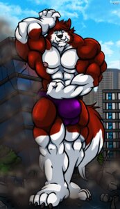 Rating: Explicit Score: 0 Tags: 2013 abs anthro biceps bulge canid canine canis dipstick_tail domestic_dog e621 frank600 gloves_(marking) hair husky hyper leg_markings macro male mammal markings muscular muscular_anthro muscular_male nordic_sled_dog pecs pose rackun socks_(marking) solo spitz tail tail_markings User: bunchy7s