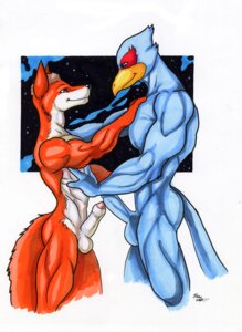 Rating: Explicit Score: 0 Tags: 2011 anthro bird color erection eye_contact falco_lombardi fox fox_mccloud fur furry furry_only furry_tail gay interspecies looking_at_another male male_only multiple_males muscles muscular no_humans nude open_eyes orange_fur penis pheasant rule34 side_view standing star_fox tail white_fur wolfgangcake yaoi User: bunchy7s