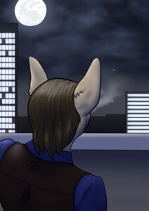 Rating: Safe Score: 0 Tags: 2012 anthro building city clothing e621 gur_bardolf hi_res lionsilverwolf looking_away male night outside solo star User: bunchy7s