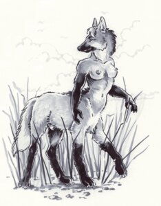 Rating: Explicit Score: 0 Tags: animal_genitalia breasts canid canine e621 erect_nipples fully_sheathed genitals grass gynomorph hair heather_bruton herm_(lore) intersex mammal mane mane_hair maned_wolf monochrome navel nipples nude pampas plant sheath side_view solo tail taur User: bunchy7s