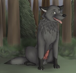 Rating: Explicit Score: 0 Tags: 2012 balls canid canine canis detailed_background digitigrade e621 erection feral forest fur genitals gloves_(marking) grey_body grey_fur knot leg_markings low_res male mammal markings nature outside penis plant quadruped socks_(marking) solo tail tree wolf wood zoophilic User: bunchy7s Rating: Explicit Score: 0 Tags: 2012 balls canid canine canis detailed_background digitigrade e621 erection feral forest fur genitals gloves_(marking) grey_body grey_fur knot leg_markings low_res male mammal markings nature outside penis plant quadruped socks_(marking) solo tail tree wolf wood zoophilic User: bunchy7s