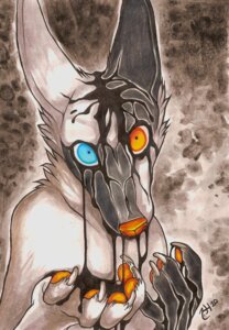 Rating: Safe Score: 0 Tags: ambiguous_gender black_body black_fur canid canine e621 fur heterochromia hi_res kalpeakoira looking_at_viewer mammal orange_nose paws solo white_body white_fur User: bunchy7s Rating: Safe Score: 0 Tags: ambiguous_gender black_body black_fur canid canine e621 fur heterochromia hi_res kalpeakoira looking_at_viewer mammal orange_nose paws solo white_body white_fur User: bunchy7s