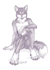 Rating: Questionable Score: 0 Tags: 2008 anthro biped breasts canid canine carowyn claws dagger_leonelli dewclaw digitigrade e621 feet female fluffy fluffy_tail fur looking_at_viewer majime mammal monochrome nude paws signature simple_background sketch solo tail traditional_media_(artwork) white_background User: bunchy7s