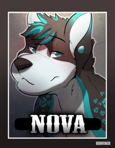 Rating: Safe Score: 0 Tags: 2013 anthro blue_eyes blue_highlights blue_markings canid canine canis character_badge_(artwork) digital_media_(artwork) e621 ear_piercing gauged_ear hair hi_res highlights_(coloring) male mammal markings novacwolf piercing redrusker solo spots spotted_body wolf User: bunchy7s Rating: Safe Score: 0 Tags: 2013 anthro blue_eyes blue_highlights blue_markings canid canine canis character_badge_(artwork) digital_media_(artwork) e621 ear_piercing gauged_ear hair hi_res highlights_(coloring) male mammal markings novacwolf piercing redrusker solo spots spotted_body wolf User: bunchy7s