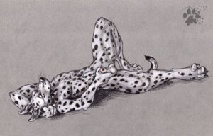 Rating: Explicit Score: 0 Tags: 2007 anthro blotch canine canine_penis collaboration colored_background dalmatian fur furry male male_only penis rule34 sheath solo tess_garman User: bunchy7s